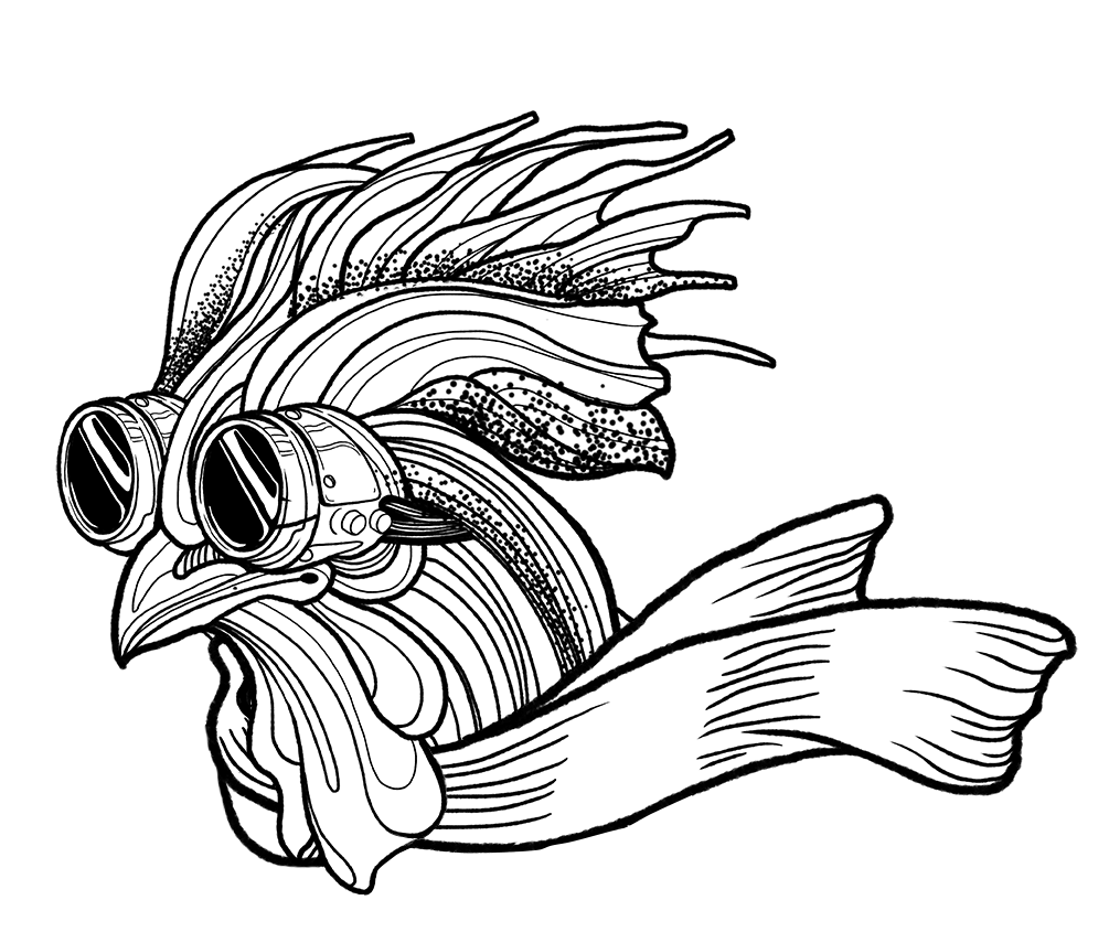 קורא ספרות